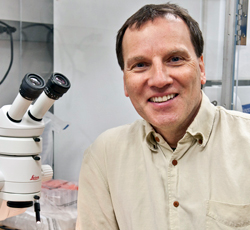 Donald B. DeFranco, PhD